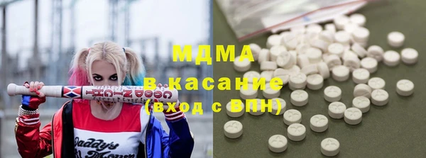молекула духа Вяземский