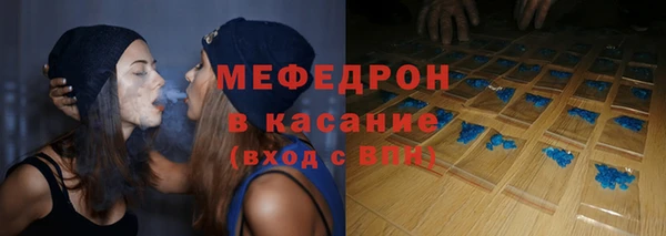 молекула духа Вяземский