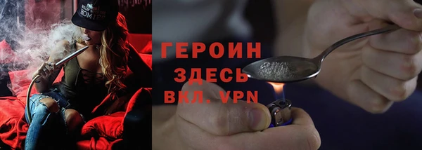 прущие грибы Волоколамск