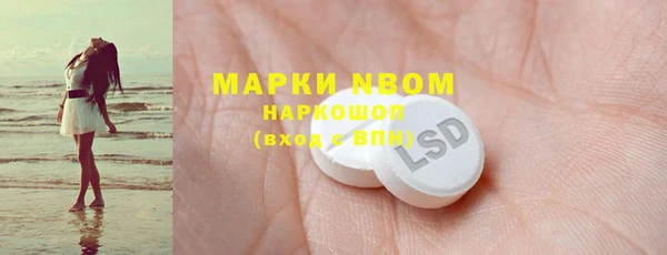 молекула духа Вяземский