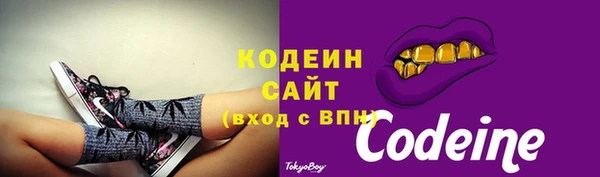 прущие грибы Волоколамск