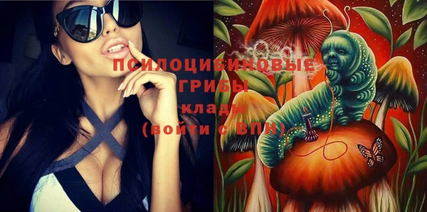 прущие грибы Волоколамск