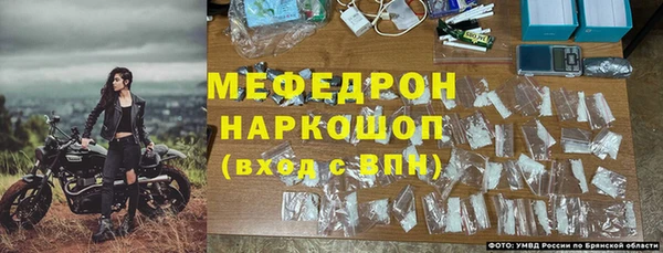 молекула духа Вяземский