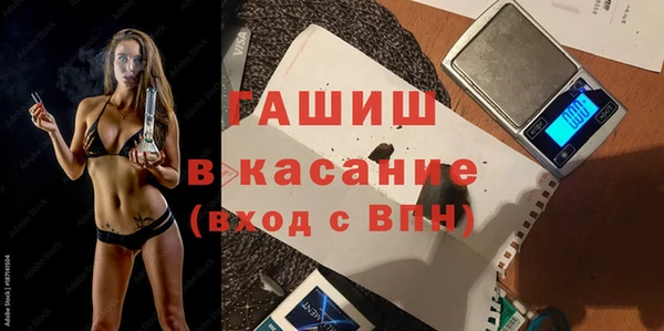 молекула духа Вяземский