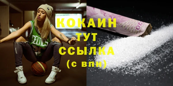 молекула духа Вяземский