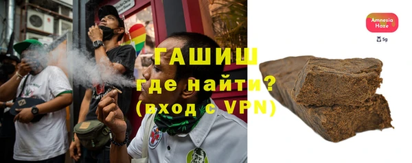 молекула духа Вяземский